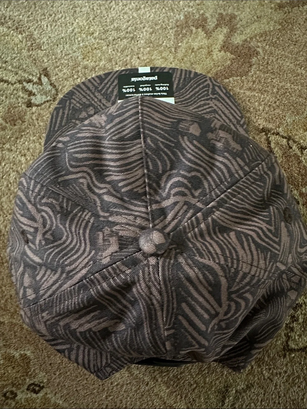 Patagonia Alpine Icon Funfarer Cap